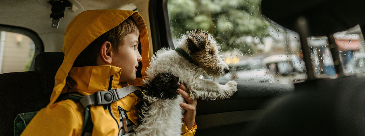 Boy in a yellow rain coat with a dog, both looking out of the window in the backseat of a car
