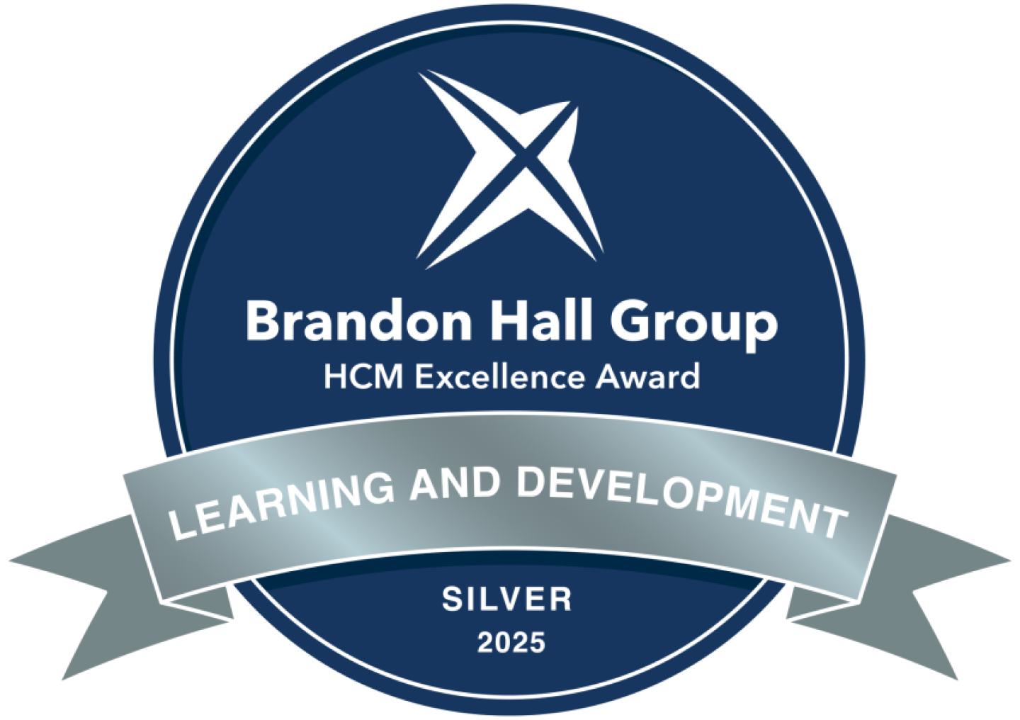 Brandon Hall Group BMW Learning Award Silver